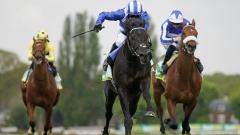 Mostahdaf at Sandown